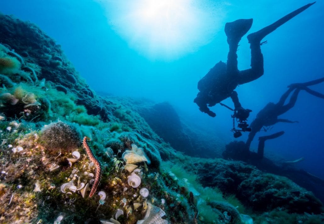 Diver over the reefs of Mediterranean Sea.