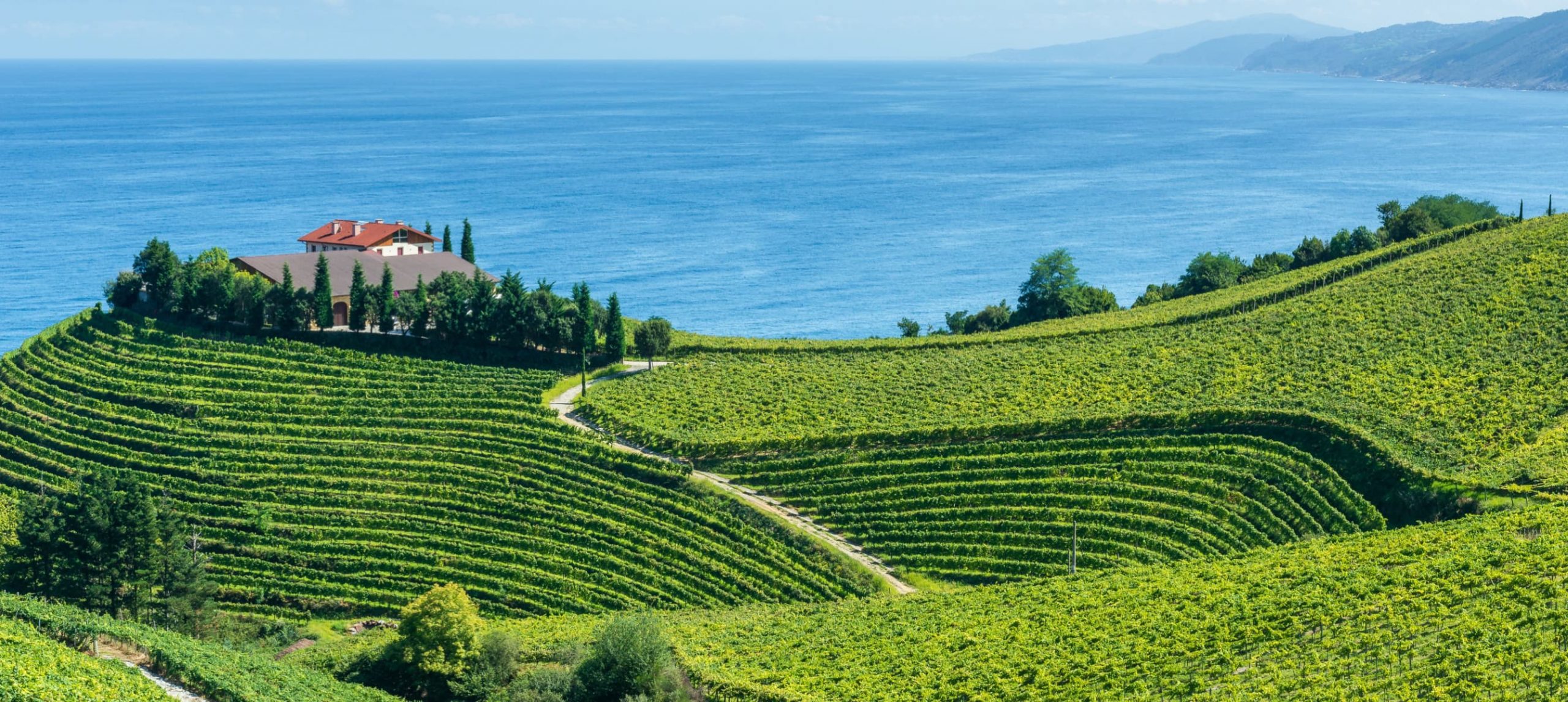 green fields of the Basque Country