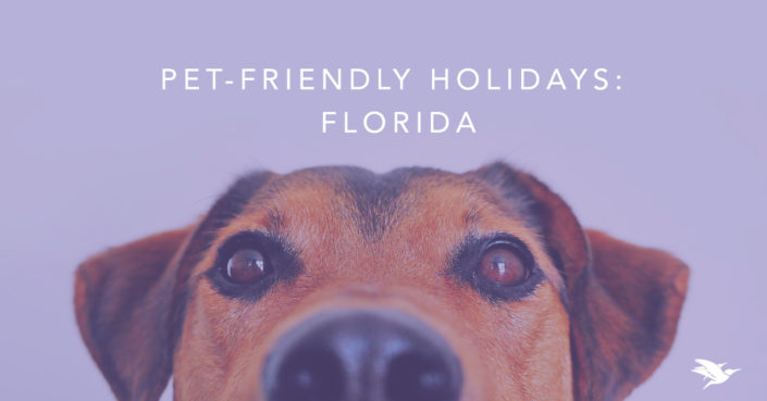 Pet-friendly holidays Florida