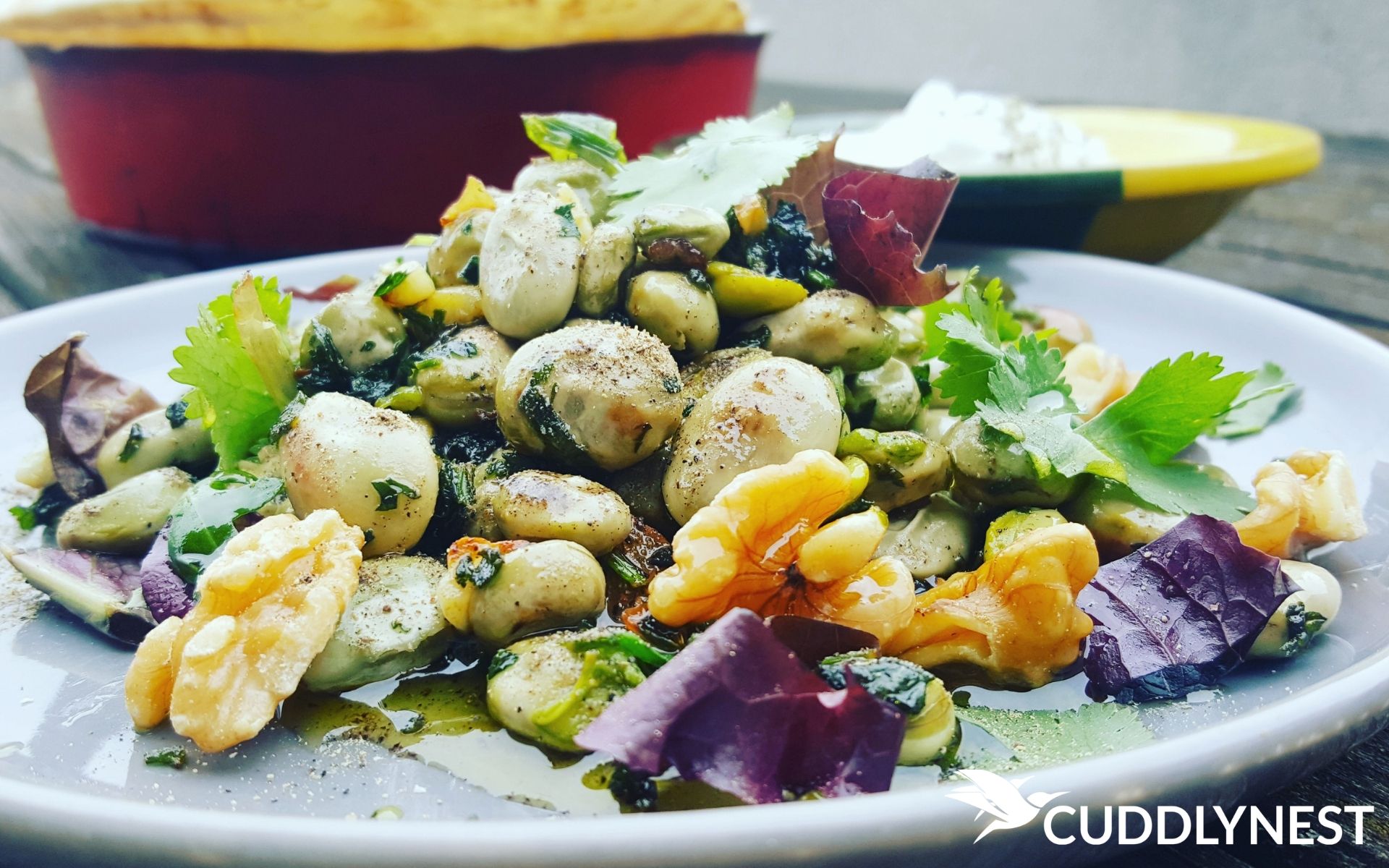 Vegan Restaurants Alicante: The Local Guide to the Best in August 2019