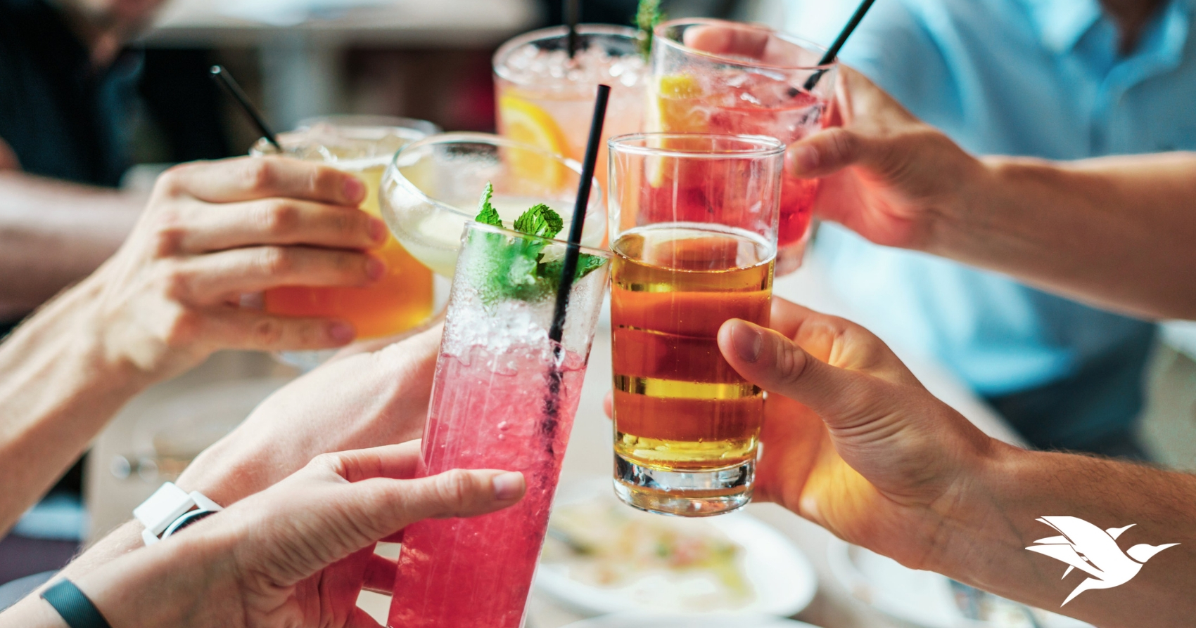 5 Weird European Drinks You Must Try On Your Next Trip Cuddlynest Travel Blog