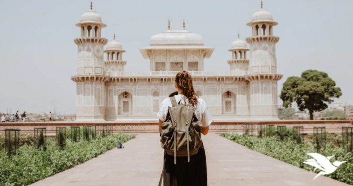 CuddlyNest travel 2020 Destinations Travel India, Asia or other SouthEast Asia Destinations: CuddlyNest travel 2020 Destinations