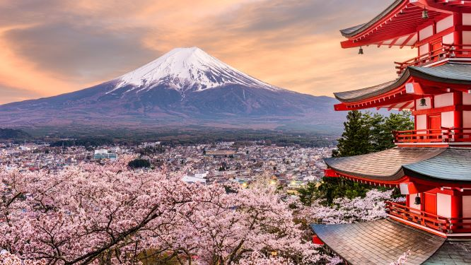 A pink cherry blossom pagoda takes inspiration from the delicate beaut