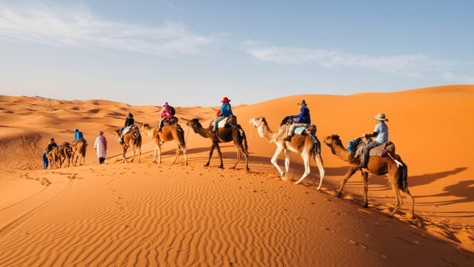 camel ride in the sahara desert
