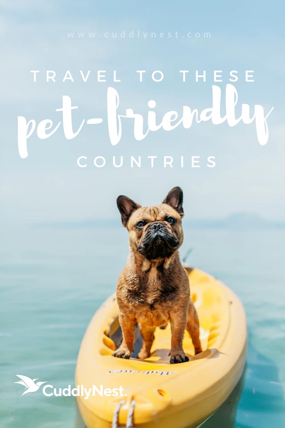 Travel The Country With Your Dog In This Customized Pet-Friendly