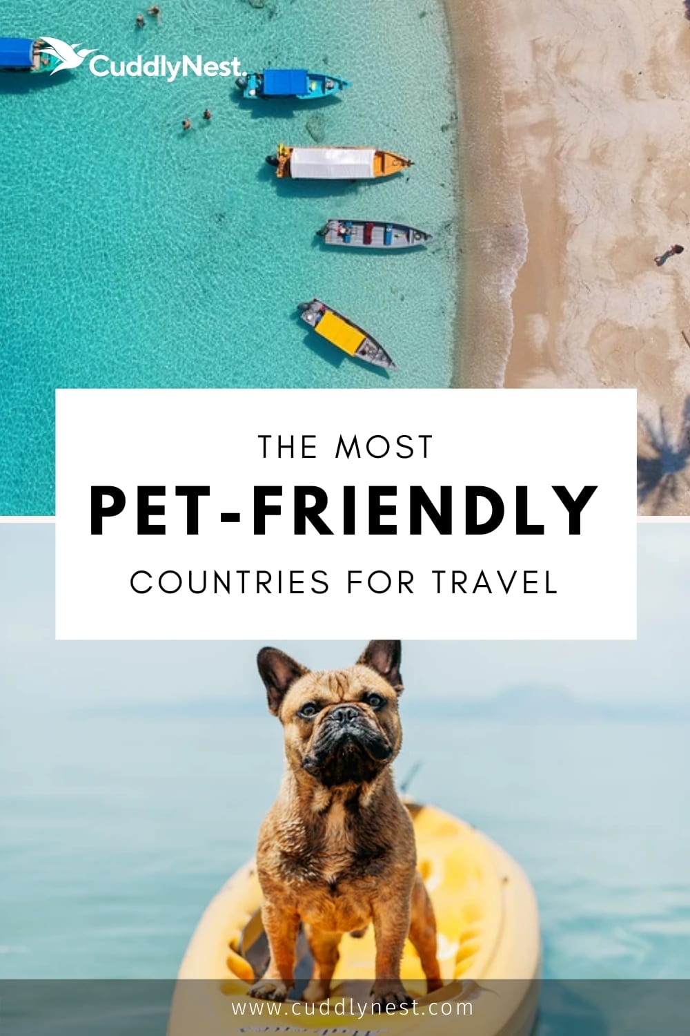 Travel The Country With Your Dog In This Customized Pet-Friendly