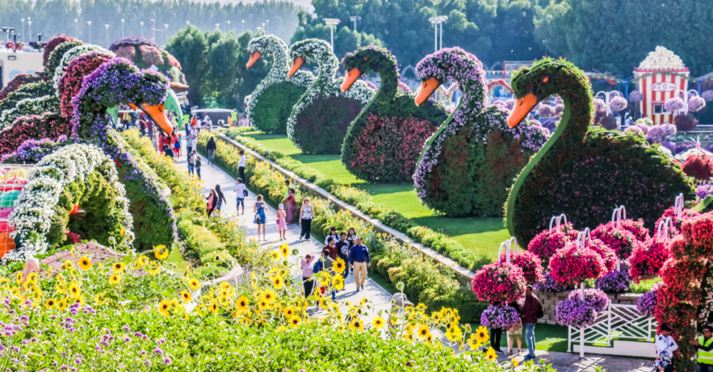 dubai miracle garden