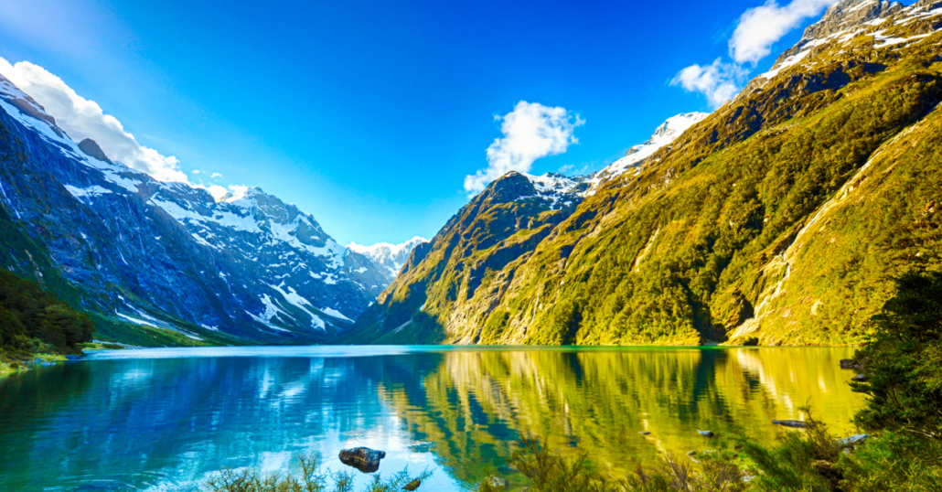 Fiordland National Park | CuddlyNest Travel Blog Fiordland National Park