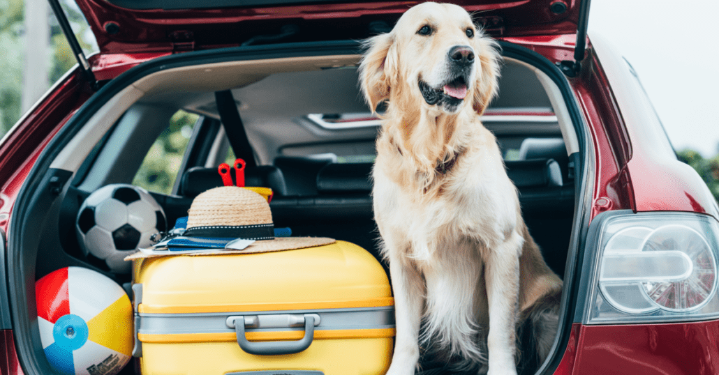 pet-friendly trips