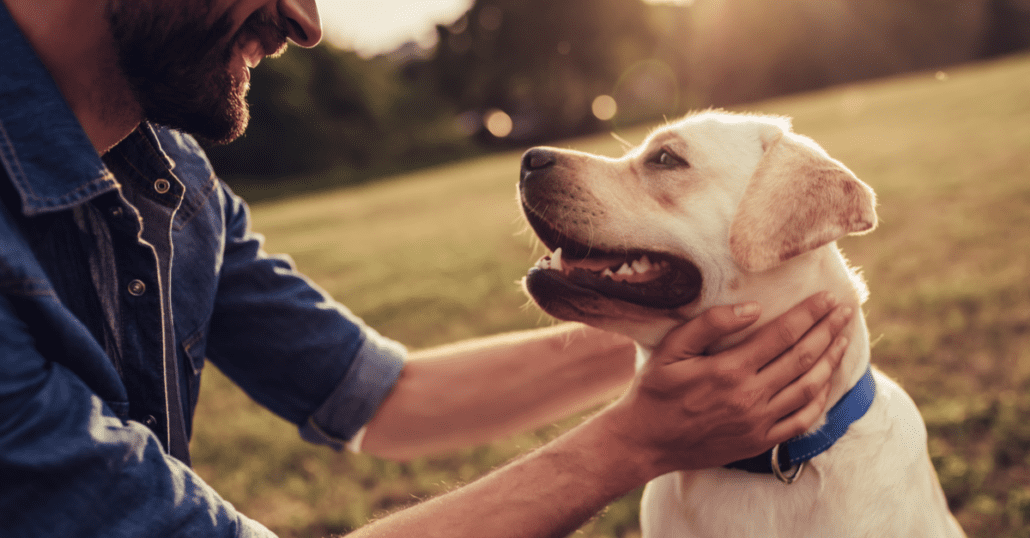 man and his dog