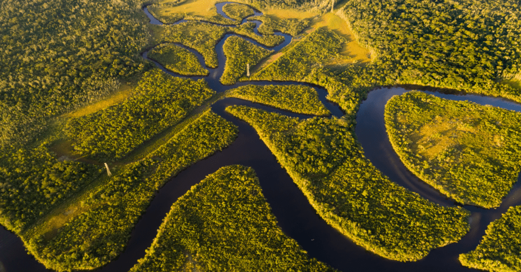 view of the amazon rainforest