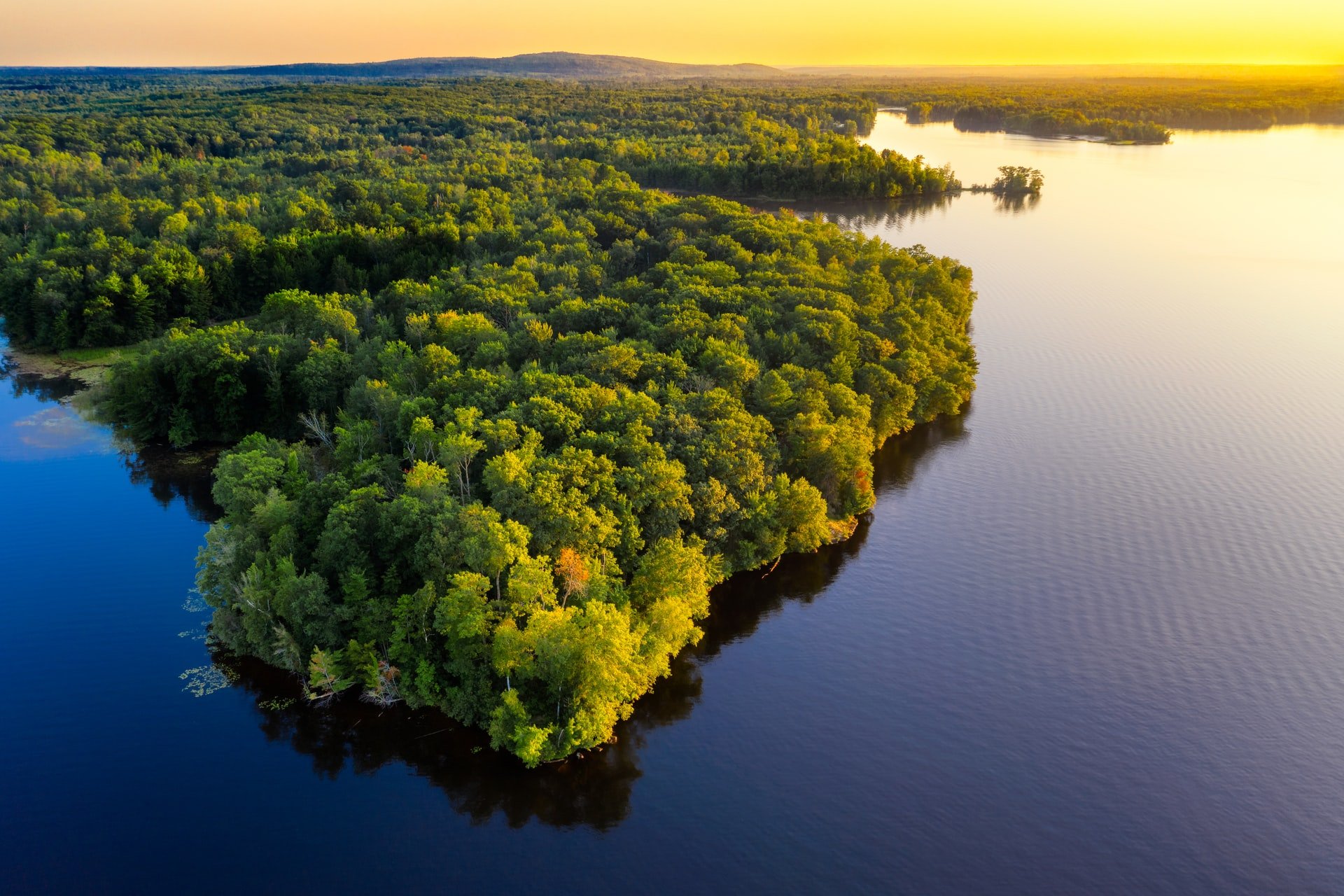 World Rainforest Day 2021 | How to avoid wasting Rainforests as a