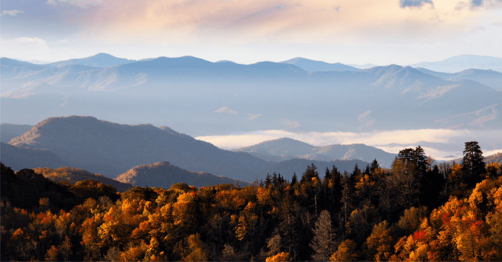 The Great Smoky Mountains National Park during the peak of the fall foliage.