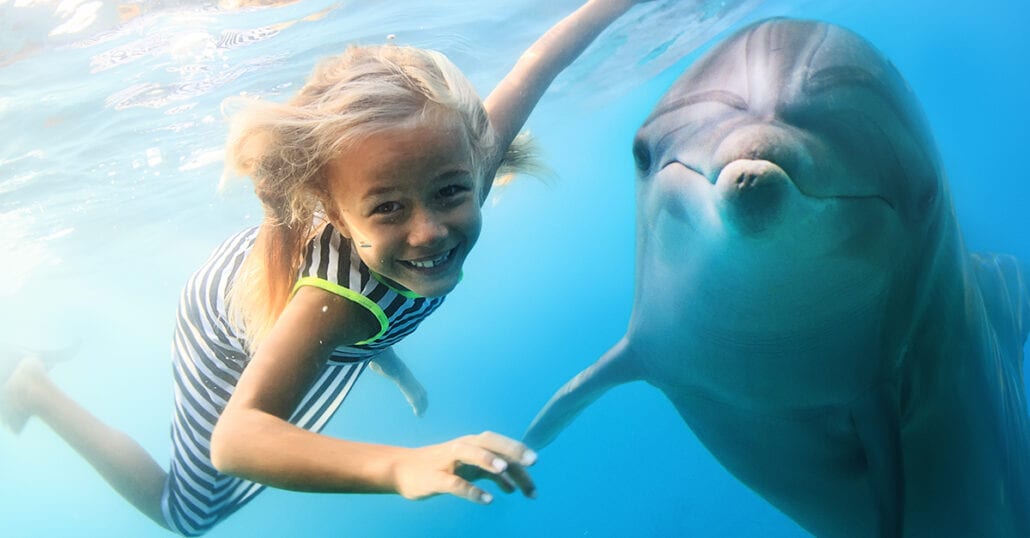 florida family vacations key largo