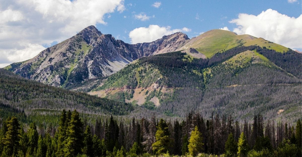 View of the Rocky Mountain National Park filled with pine forests during a clear day.