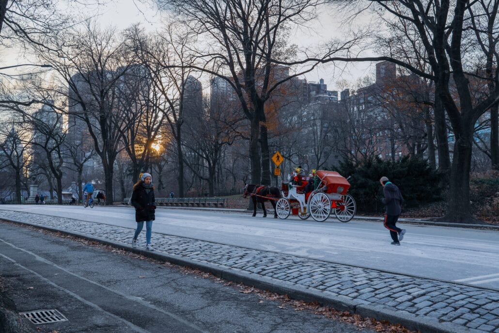 Horse charoite at Central Park during Christmas in New York City 