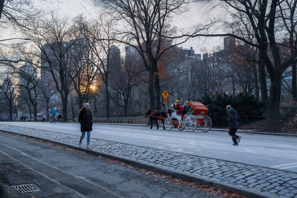 Horse charoite at Central Park during Christmas in New York City