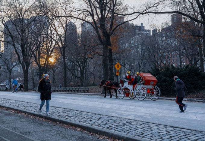 Central Park during winter in New York 
