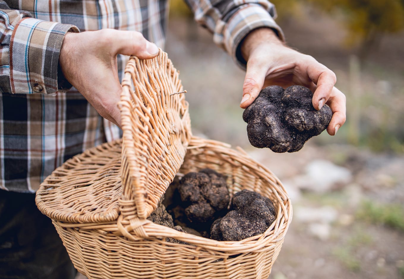 A man holding a basket filled wih black truffles.