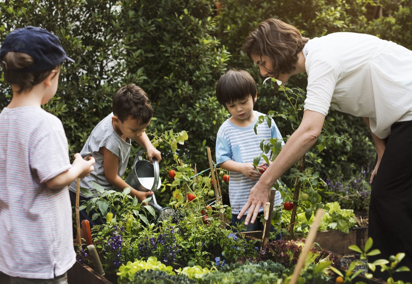 A young teacher at a vegetable garden with three small children.