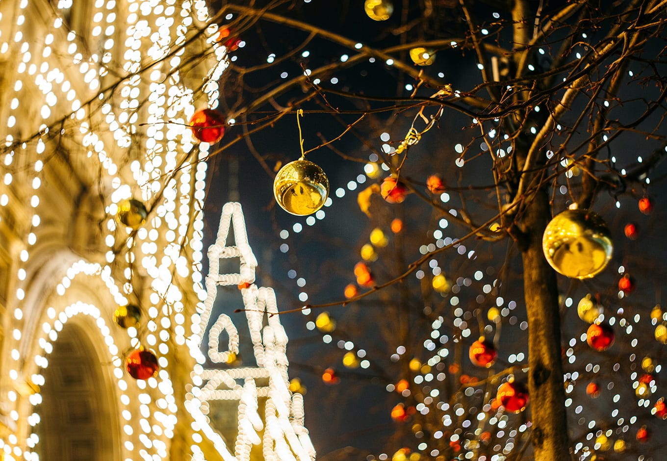 New York Botanical Garden in Dec 2020