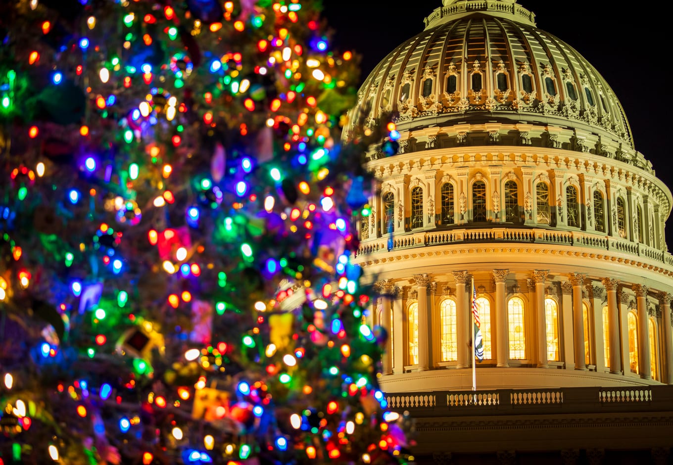 The United States Christmas Tree shining bright in front of the US Capitol Building in Washington, DC.