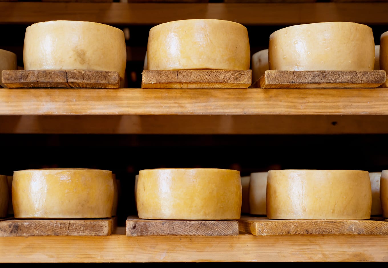 Croatian Pag cheeses on the shelves.