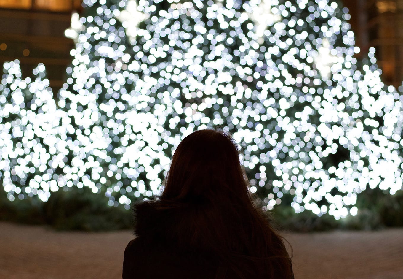 Washington Square Park with Christmas lights NYC