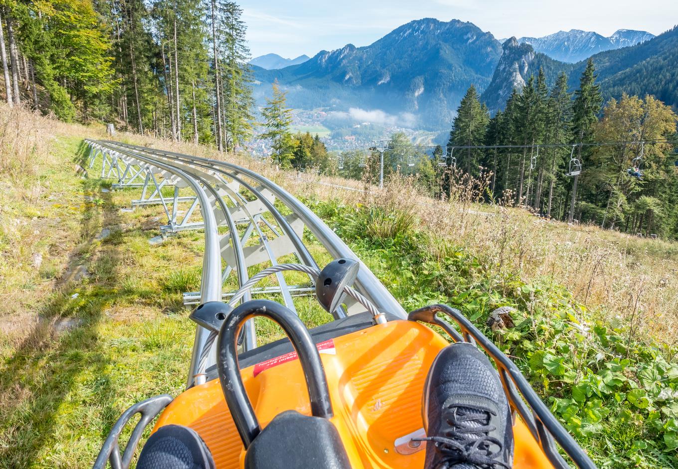 Person sliding down on a mountian coaster surrounded by a green forest and mountains on the backdrop.