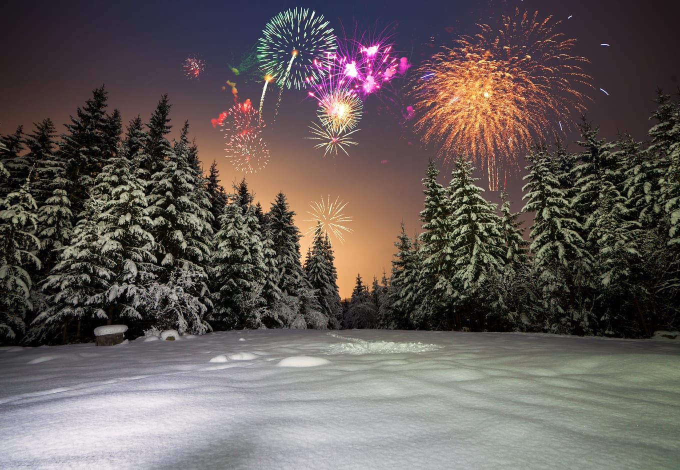 Winter night landscape wit colorful fireworks over a pine forest.