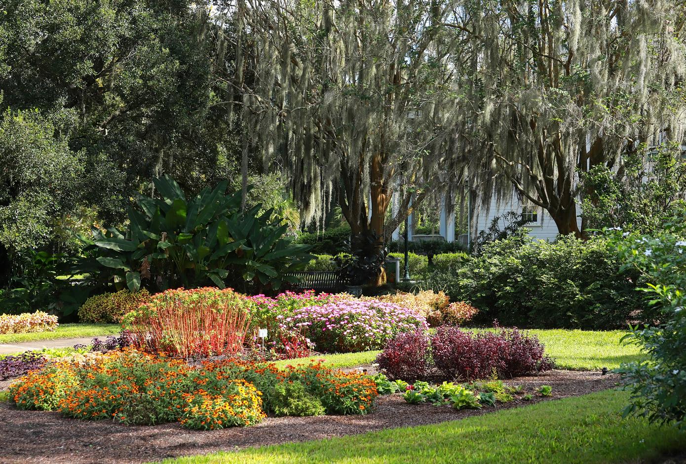 Ultimate Guide To The Leu Gardens In