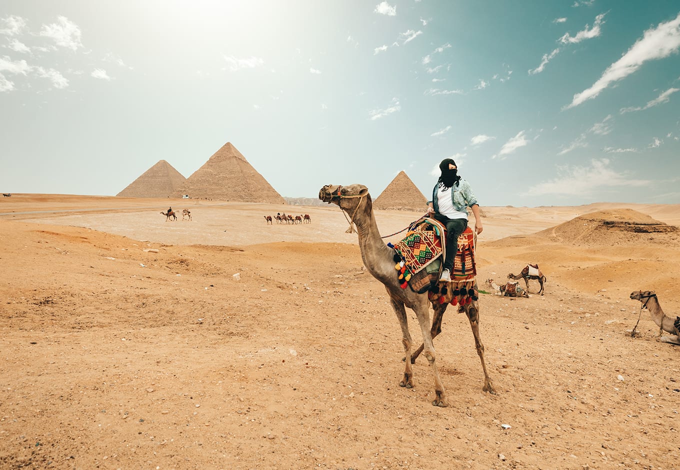 middle east travel guide pyramids in egypt camel