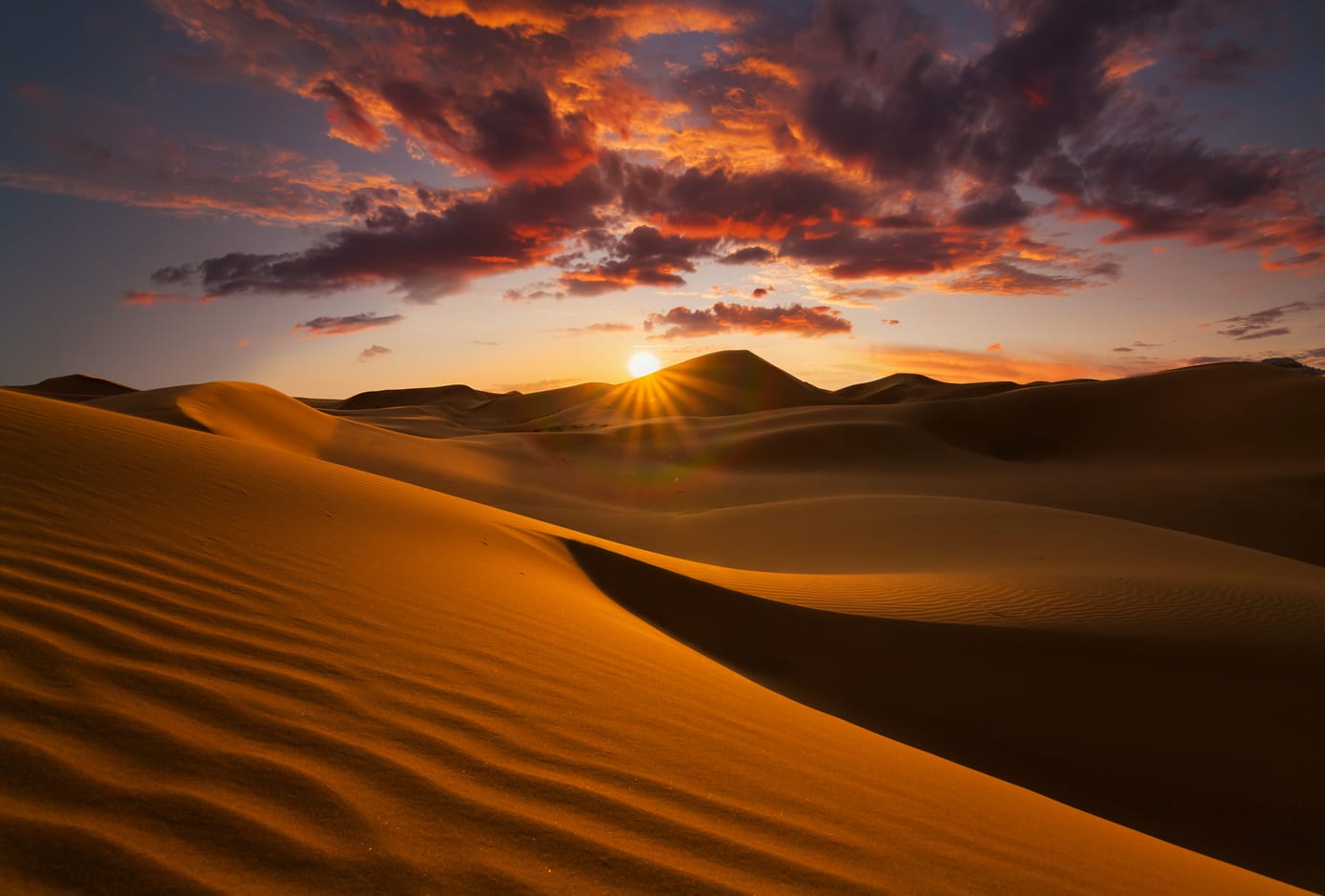 A stunning pink sunset at the Sahara desert.