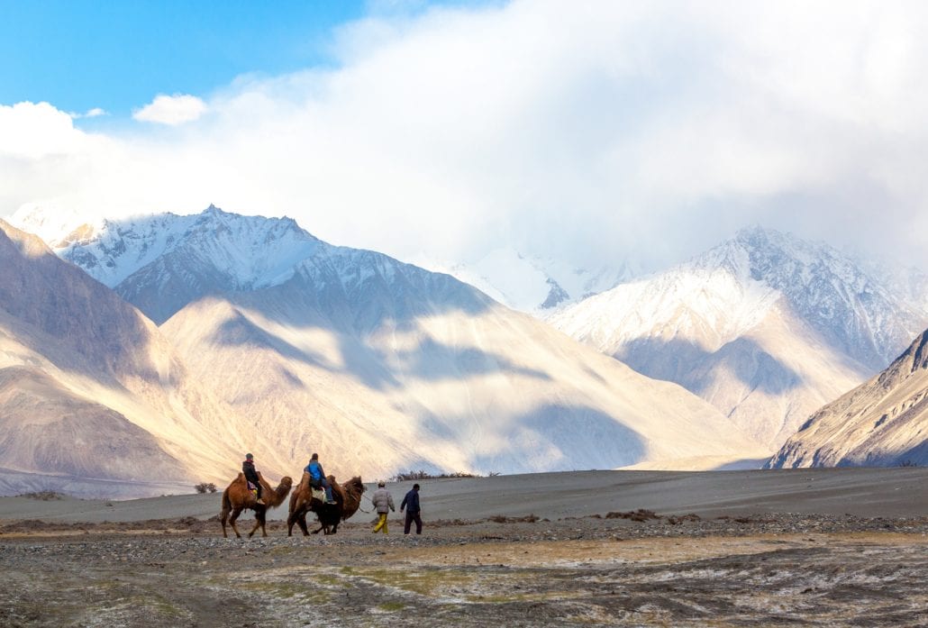 Caravan of people riding camels in the dusty Nubra Valley dune with a majestic mountain peak background.
