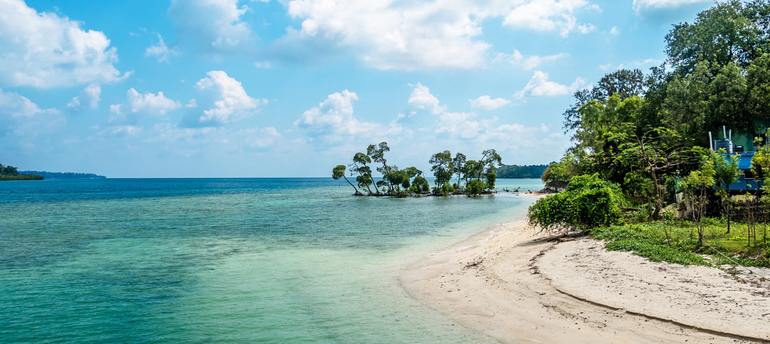 . Havelock island Andaman and Nicobar Islands India