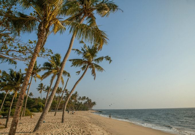 marari-beach-best-beaches-in-india (wecompress.com) | CuddlyNest Travel Blog Marari Beach, Kerala is one of the most popular and beautiful beaches in India