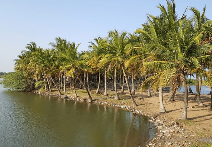 Paradise beach view in Pondicherry