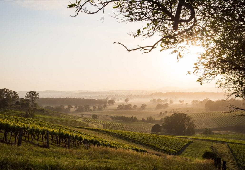 Sunrise over Hunter Valley vineyards, in Australia