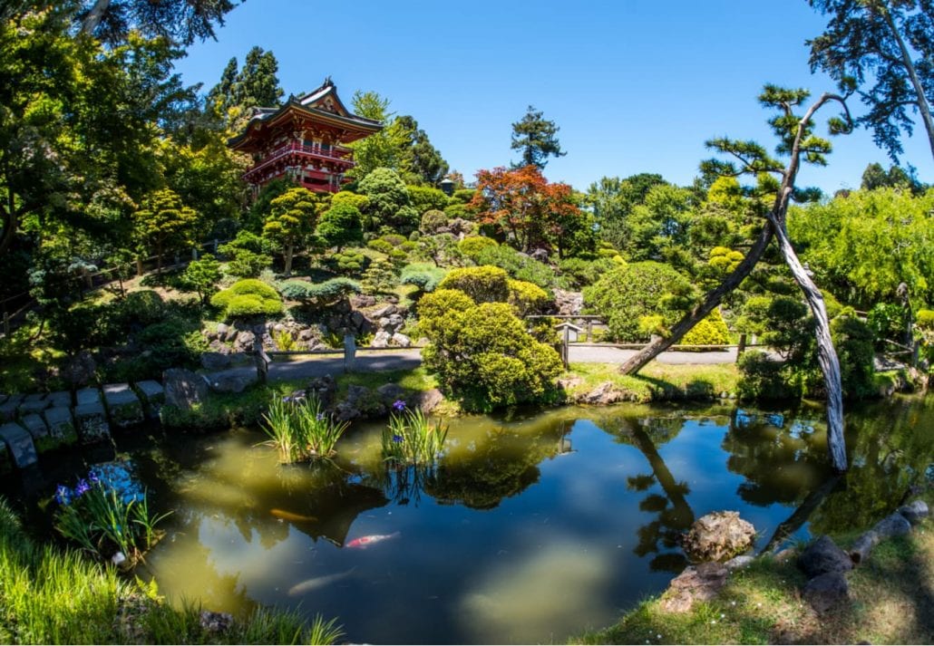 The Golden Gate Park, in San Francisco.