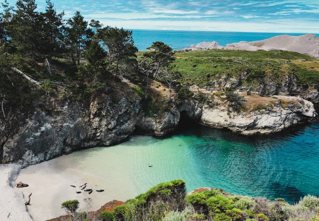 The transparent blue-green waters of the ocean surrounded by forests at the Point Lobos National Park, in California.