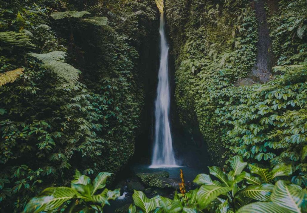 A beautiful and leafy waterfall in Costa Rica.