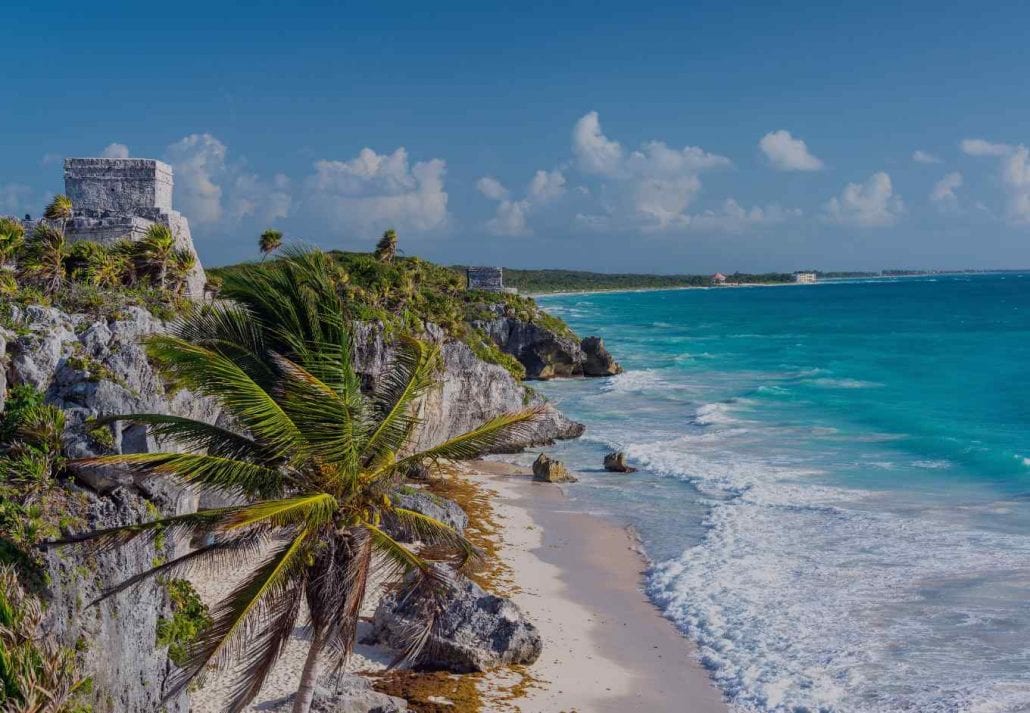 Swinging palm tree by the ocean on a beach in Tulum, Mexico.