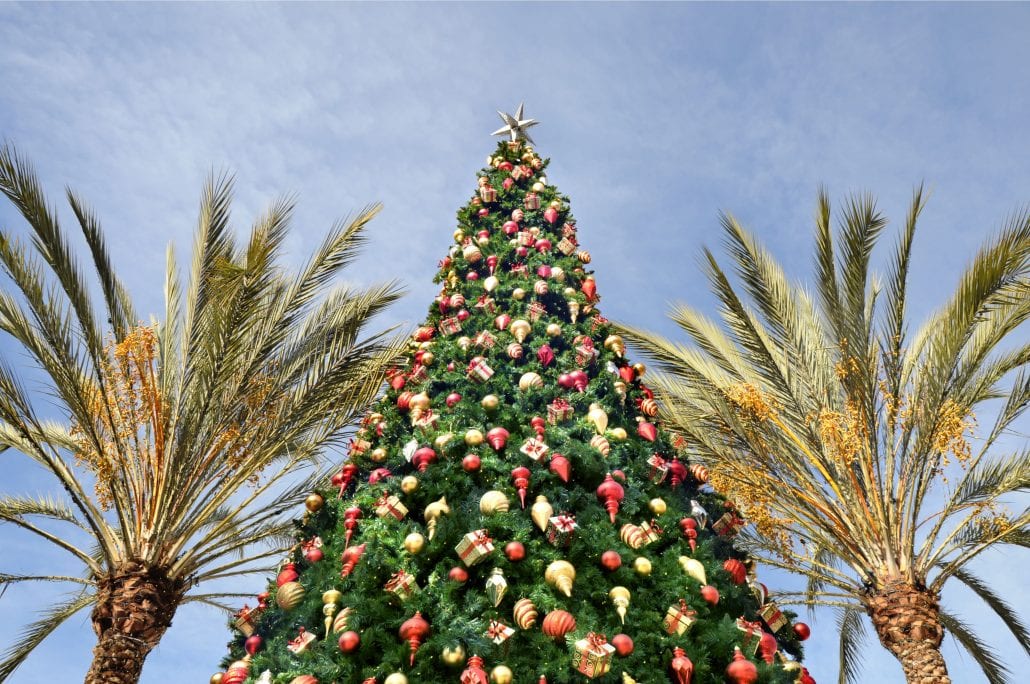 A Christmas tree surrounded by two palm trees