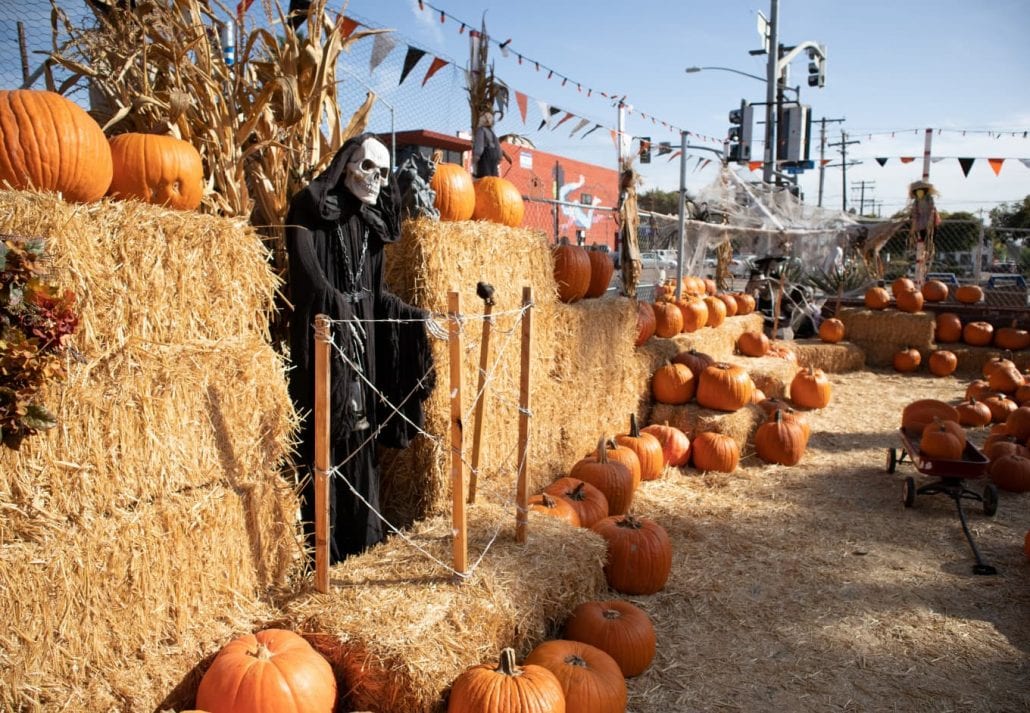 Skeleton at Best Pumpkin Patches in San Diego