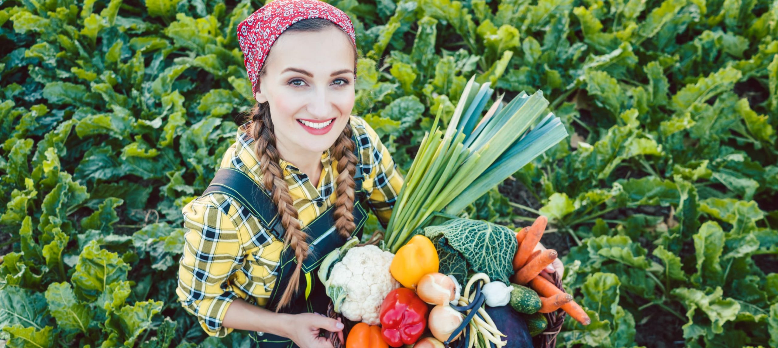 Farmer woman in a field offering colorful organic vegetables as healthy food.