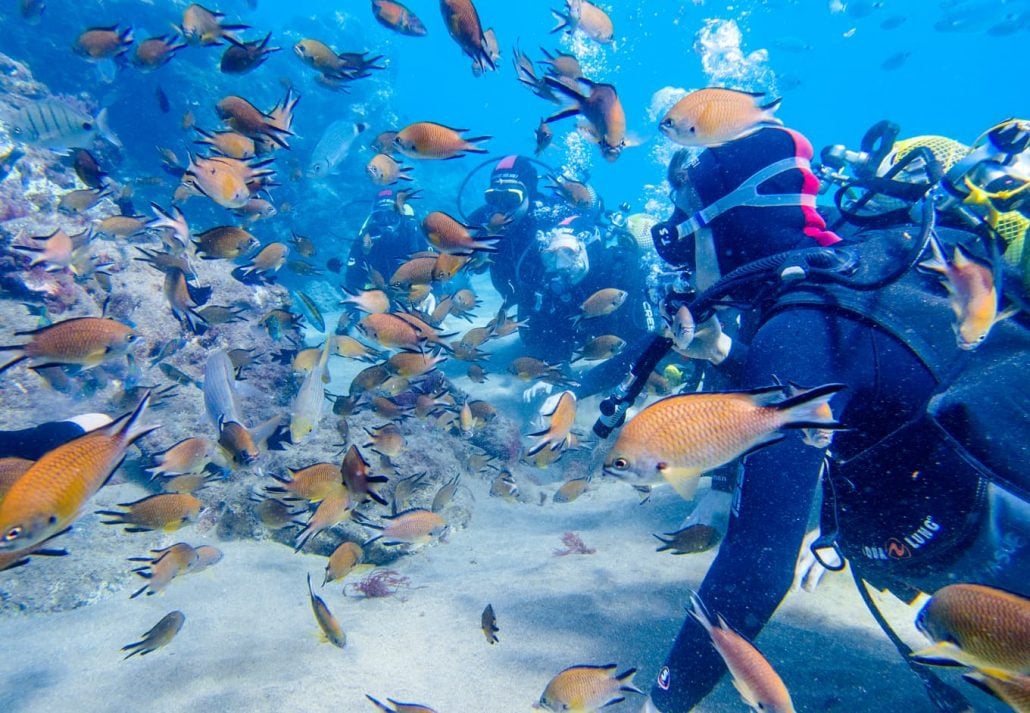 Lanzarote, Spain, Canary Island November 28th of 2018. Family enjoy underwater try dive with a lot of fish