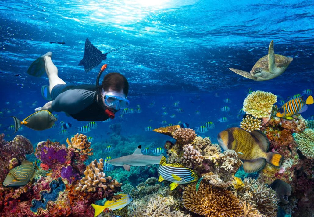 Young man marveling at colorful fishes while snorkeling.