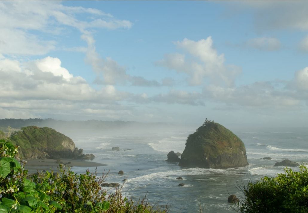 The College Cove Beach, in California.