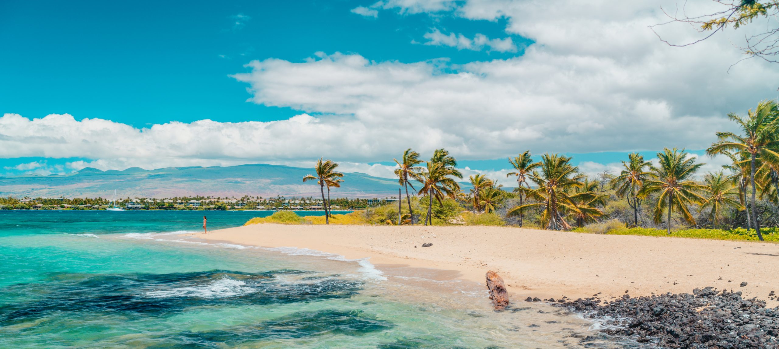 Hawaii beach travel landscape. Summer vacation hero view of woman tourist walking on secluded bay in Waikoloa, Big Island, HAWAII, USA destination.