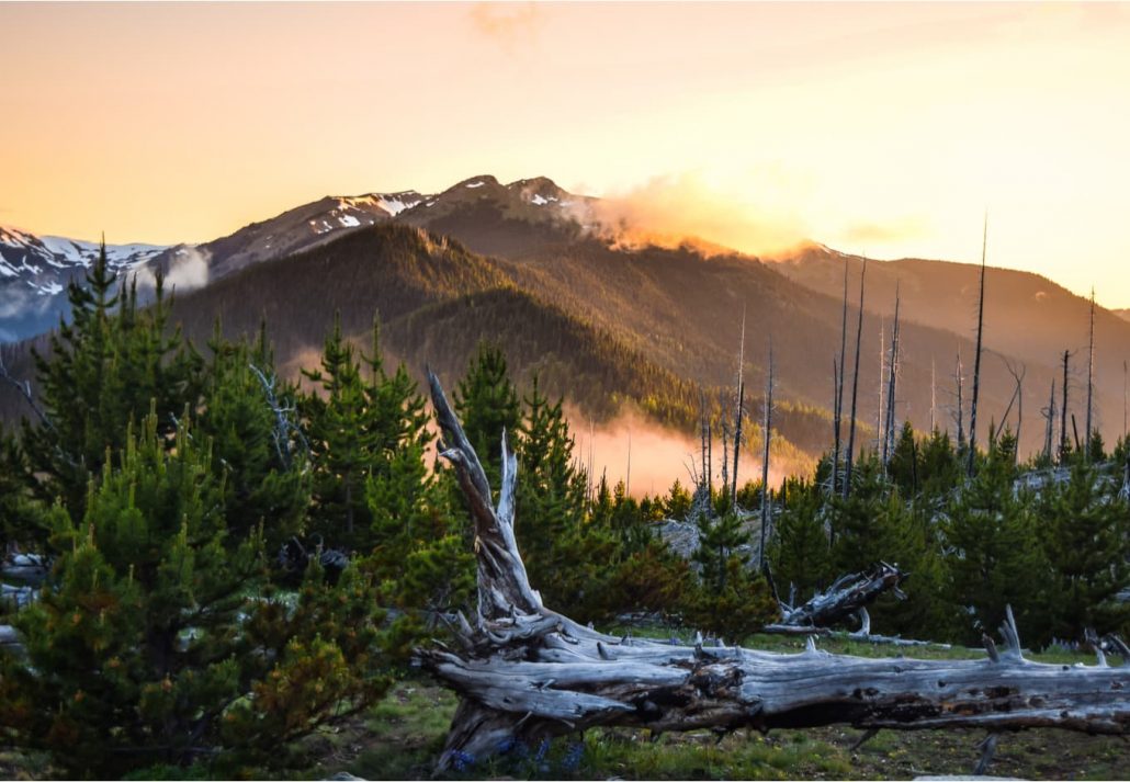 Olympic National Park in Washington State, USA